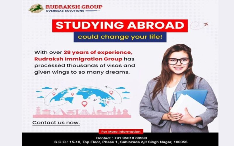 Here are the most popular courses to study abroad as per Rudraksh Immigration Group