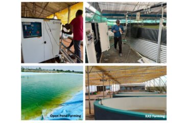 India’s First Nanobubble Pioneer: How Prasinos Made World-Class Technology Affordable for Everyone